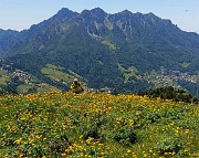 Capanna 2000 ad anello da Alpe Arera, festa di fiori-13giu26- FOTOGALLERY